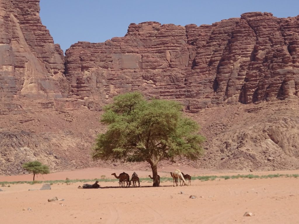 Jordania - Wadi Rum