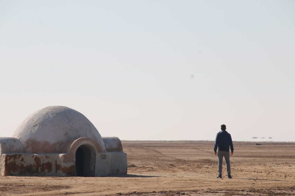 Túnez - Tozeur - Chott el Jerid - Granja de los Lars